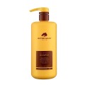 شامپو ترمیم کننده روغن آرگان مناسب موهای خشک و نرمال آلترهیر مدل Argan Repair آلتر هیر حجم 500 میل