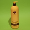 شامپو ترمیم کننده روغن آرگان مناسب موهای خشک و نرمال آلترهیر مدل Argan Repair آلتر هیر حجم 500 میل