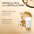 کرم تسکین دهنده و ترمیم کننده مناسب پوست حساس و ملتهب اسکین ۱۰۰۴ Madagascar Centella Teca Cream جچم 75 میل