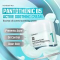 کرم مرطوب‌کننده با پانتوتنیک اسید B5 پوست‌های حساس نامبوزین Numbuzin No.1 Pantothenic B5 Active Soothing Cream حجم 80 میل