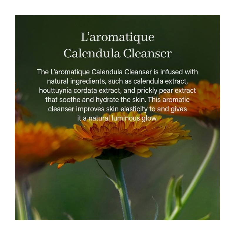 پاک کننده عمقی تسکین دهنده و مرطوب کننده مناسب پوست حساس و مستعد جوش آرنسیا L'aromatique Calendula Cleanser حجم 120 گرم
