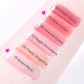 لیپ گلاس میوه ای کالرگرام COLORGRAM Fruity Glass Gloss - 04-farewell-guava